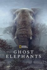 Ghost Elephants (2025)